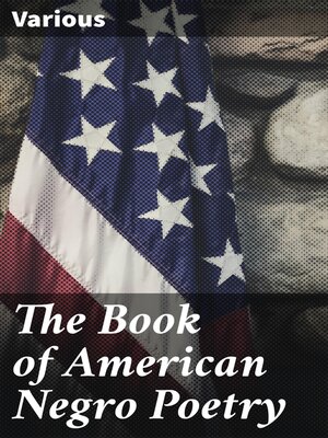 cover image of The Book of American Negro Poetry